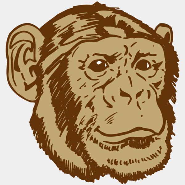 AR OTHER 47 RC Thumbnail