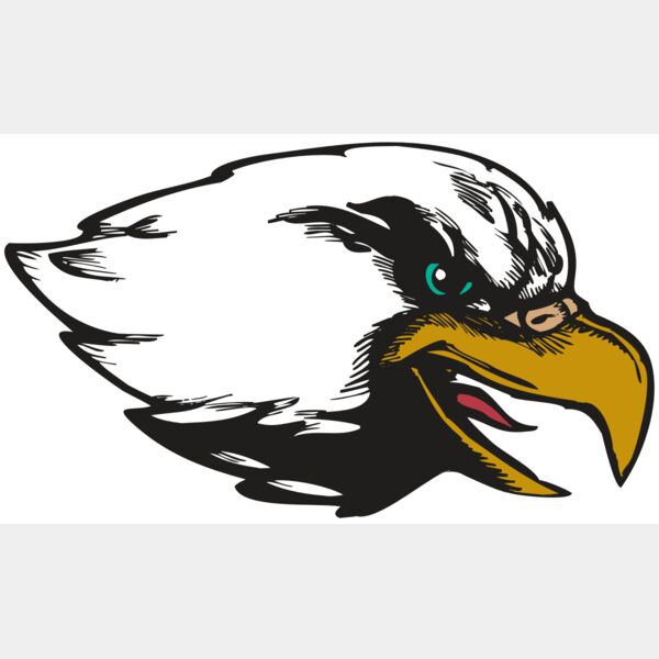 BAW EAG 09 RC Thumbnail