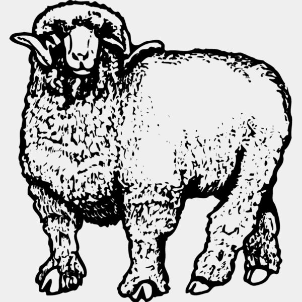 SHEEP001 Thumbnail
