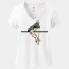 Women's Perfect T Cotton V Neck T Shirt Thumbnail