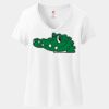 Women's Perfect T Cotton V Neck T Shirt Thumbnail