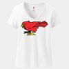Women's Perfect T Cotton V Neck T Shirt Thumbnail