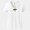Women's Perfect T Cotton V Neck T Shirt Thumbnail