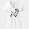 Women's Perfect T Cotton V Neck T Shirt Thumbnail