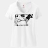 Women's Perfect T Cotton V Neck T Shirt Thumbnail