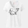 Women's Perfect T Cotton V Neck T Shirt Thumbnail