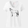 Women's Perfect T Cotton V Neck T Shirt Thumbnail