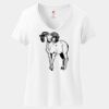 Women's Perfect T Cotton V Neck T Shirt Thumbnail