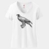 Women's Perfect T Cotton V Neck T Shirt Thumbnail