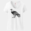 Women's Perfect T Cotton V Neck T Shirt Thumbnail