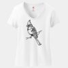 Women's Perfect T Cotton V Neck T Shirt Thumbnail
