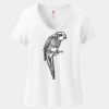 Women's Perfect T Cotton V Neck T Shirt Thumbnail