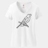 Women's Perfect T Cotton V Neck T Shirt Thumbnail