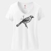 Women's Perfect T Cotton V Neck T Shirt Thumbnail