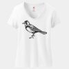 Women's Perfect T Cotton V Neck T Shirt Thumbnail
