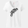 Women's Perfect T Cotton V Neck T Shirt Thumbnail