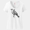 Women's Perfect T Cotton V Neck T Shirt Thumbnail