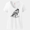 Women's Perfect T Cotton V Neck T Shirt Thumbnail