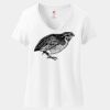 Women's Perfect T Cotton V Neck T Shirt Thumbnail