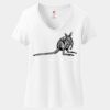 Ladies Perfect T Cotton V Neck T Shirt Thumbnail