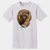 Essential T 100% Cotton T Shirt Thumbnail