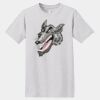 Essential T 100% Cotton T Shirt Thumbnail