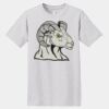 Essential T 100% Cotton T Shirt Thumbnail