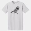 Essential T 100% Cotton T Shirt Thumbnail