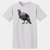 Essential T 100% Cotton T Shirt Thumbnail