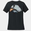 Women's 100% Ring Spun Cotton T Shirt Thumbnail