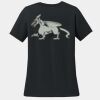 Women's 100% Ring Spun Cotton T Shirt Thumbnail