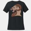 Women's 100% Ring Spun Cotton T Shirt Thumbnail