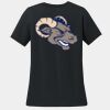Women's 100% Ring Spun Cotton T Shirt Thumbnail